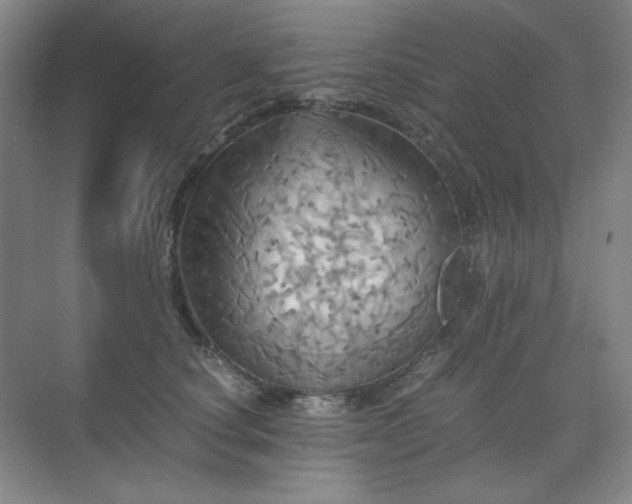 X0000075810660200609151148