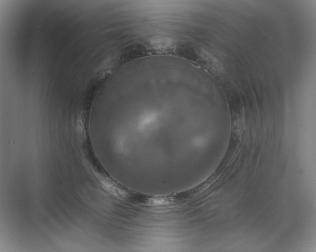 X0000075810662200609151148