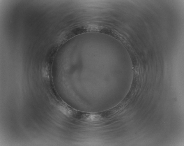 X0000075810663200609151148