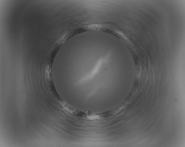 X0000075810669200609151148