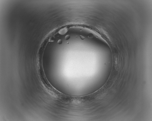 X0000075810684200609151147