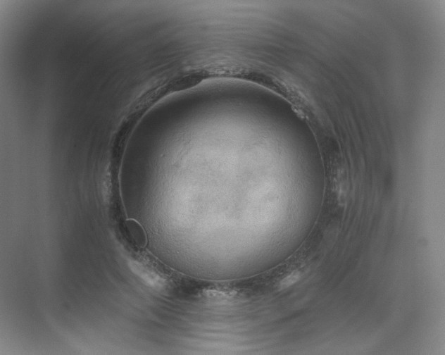 X0000075810690200609151147