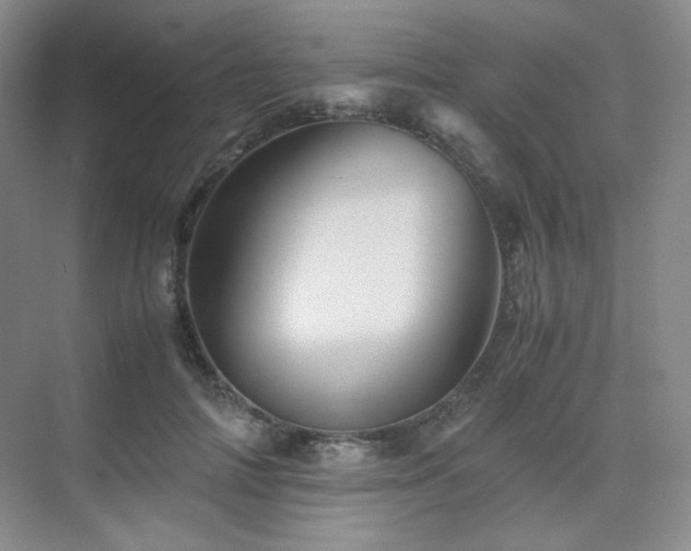 X0000075810698200609151147