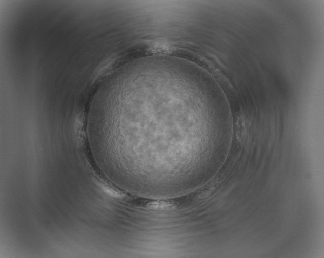 X0000075810714200609151146