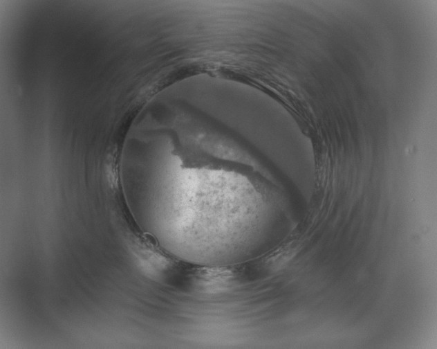 X0000075810719200609151146