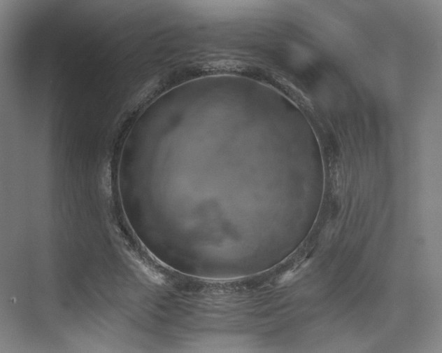 X0000075810729200609151146