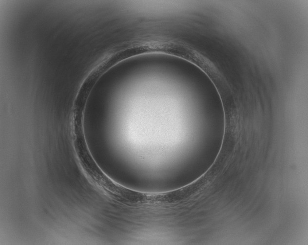 X0000075810730200609151146