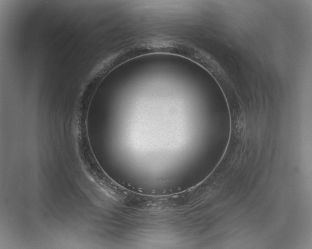 X0000075810732200609151146