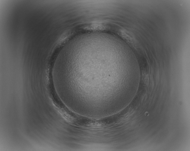 X0000075810735200609151146