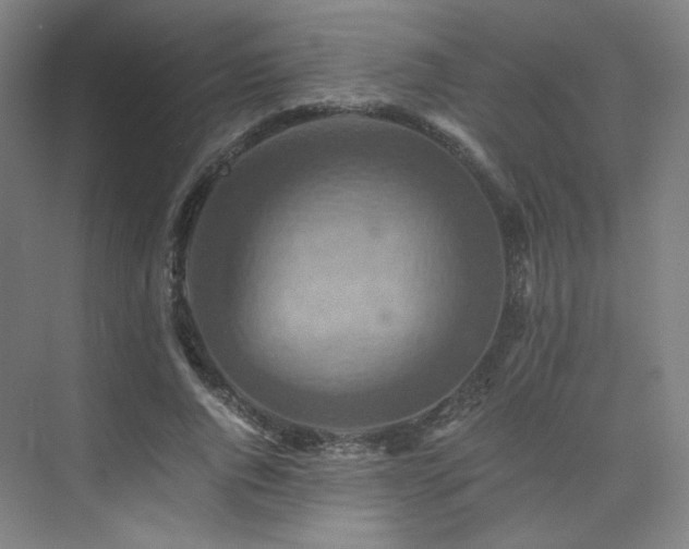 X0000075810736200609151146