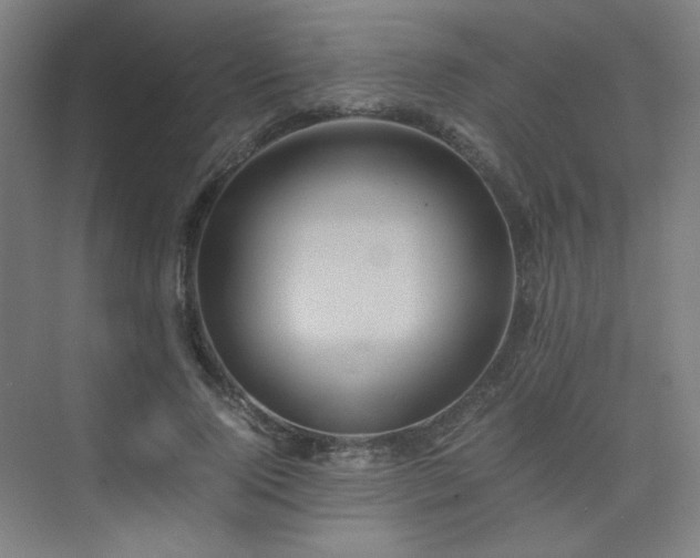 X0000075810740200609151146