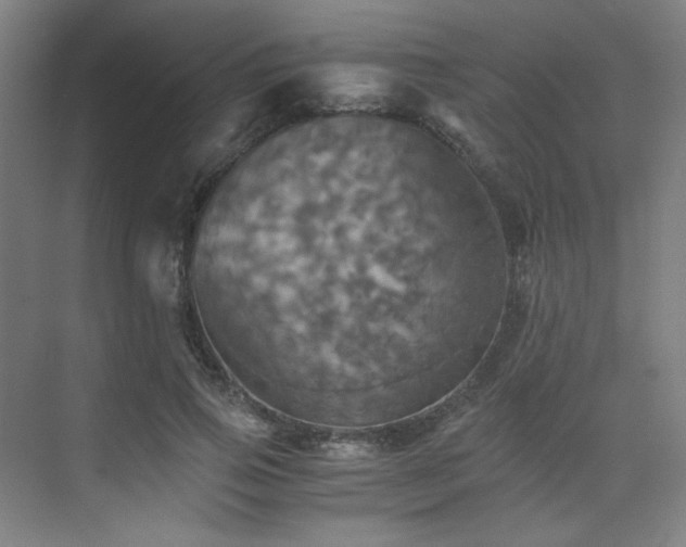X0000075810741200609151146