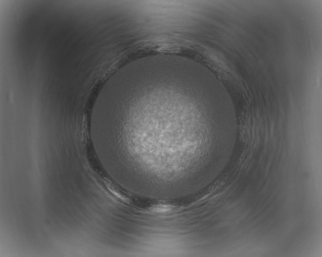 X0000075810748200609151146