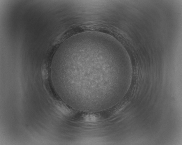 X0000075810751200609151146