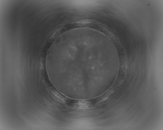 X0000075810758200609151146