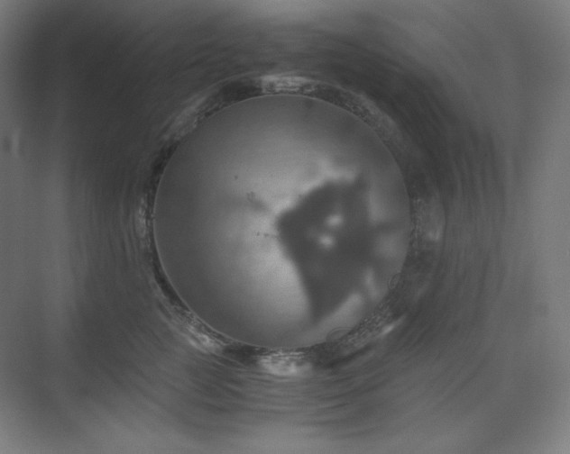 X0000075810761200609151146