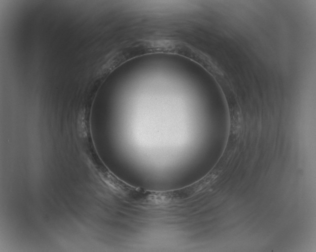 X0000075810764200609151146