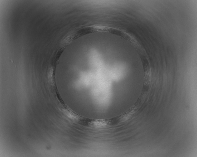 X0000075810765200609151146