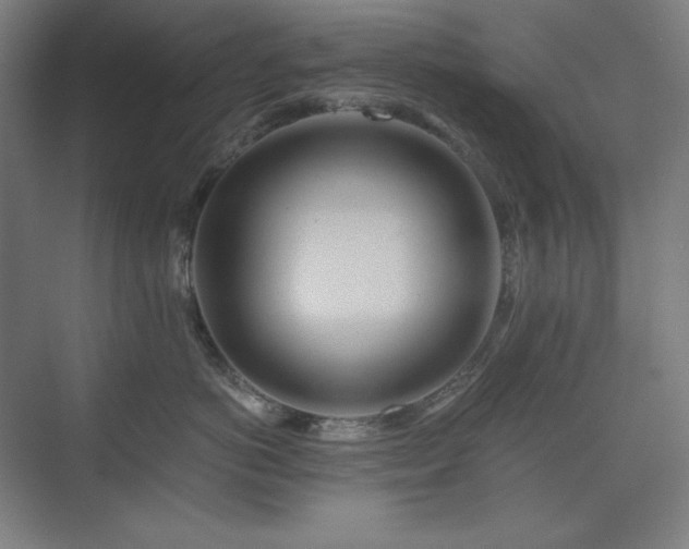 X0000075810766200609151146