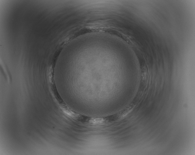 X0000075810767200609151146