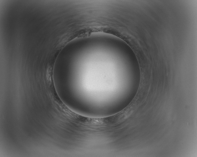 X0000075810768200609151146