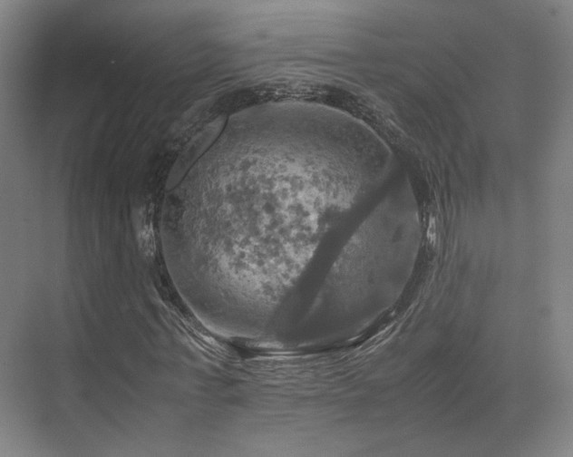 X0000075810771200609151145