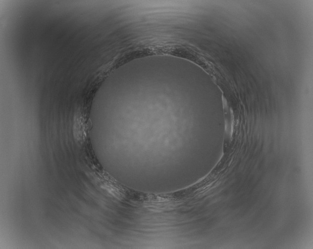 X0000075810772200609151145