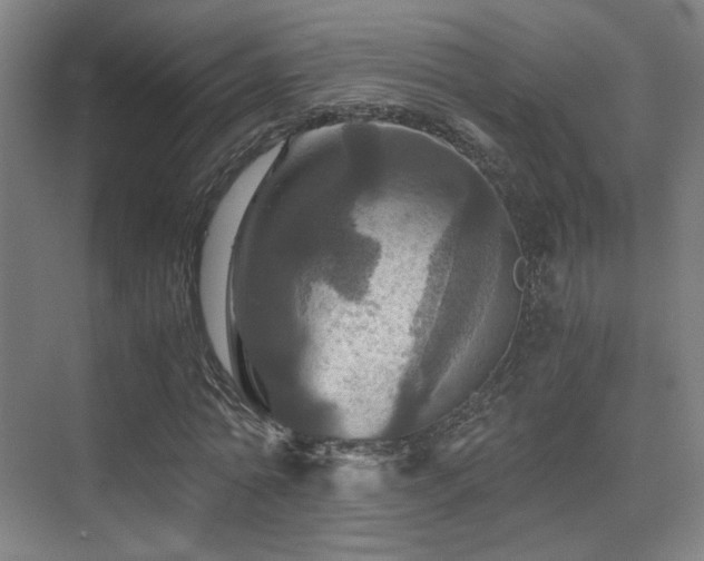 X0000075810774200609151145