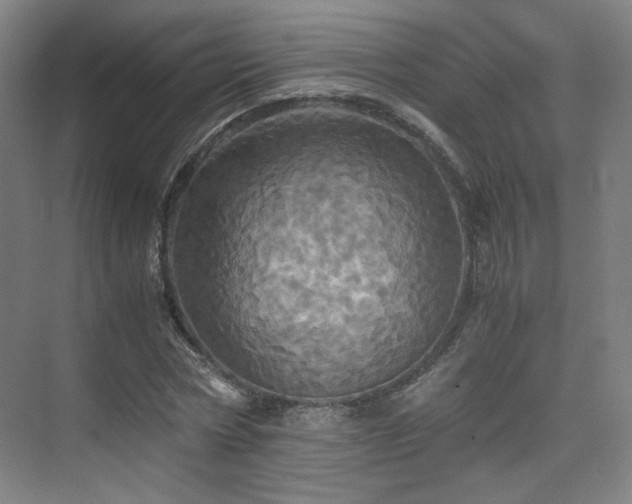 X0000075810778200609151145