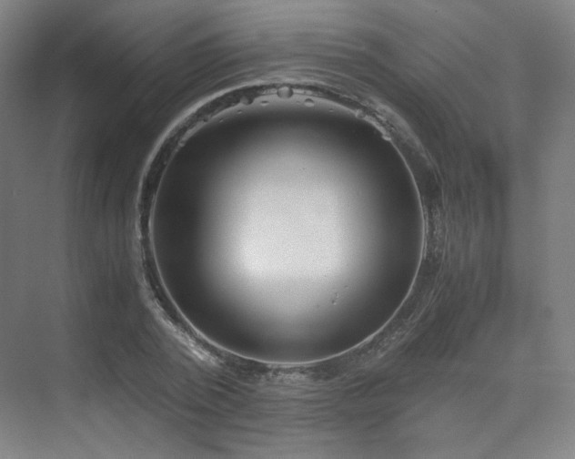 X0000075810784200609151145