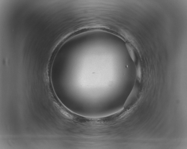 X0000075810789200609151145