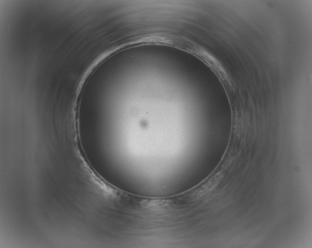X0000075810808200609151145