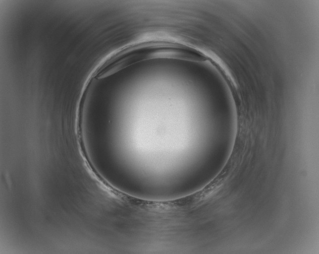 X0000075810815200609151145