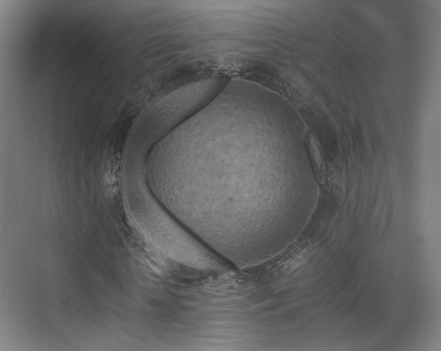 X0000075810818200609151144