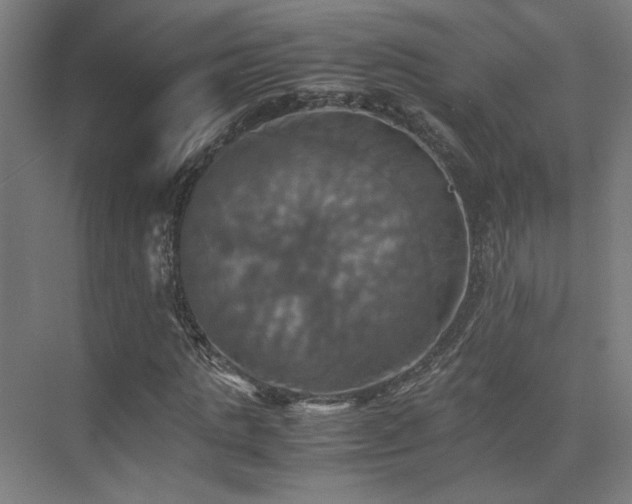 X0000075810821200609151144
