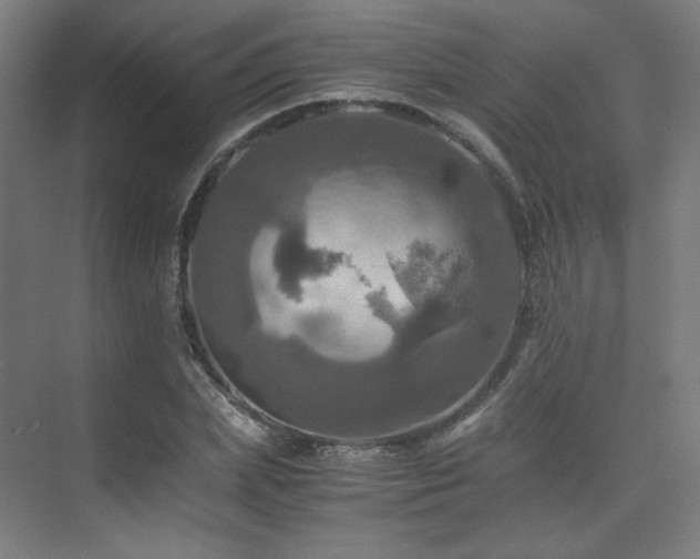 X0000075810831200609151144