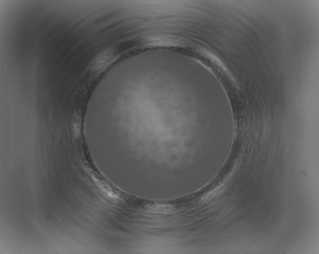 X0000075810833200609151144