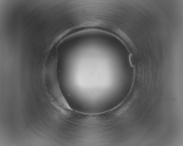 X0000075810834200609151144