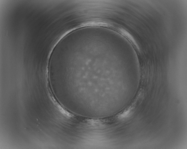 X0000075810852200609151145