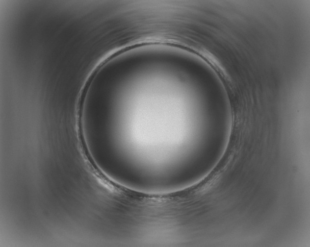 X0000075810854200609151145