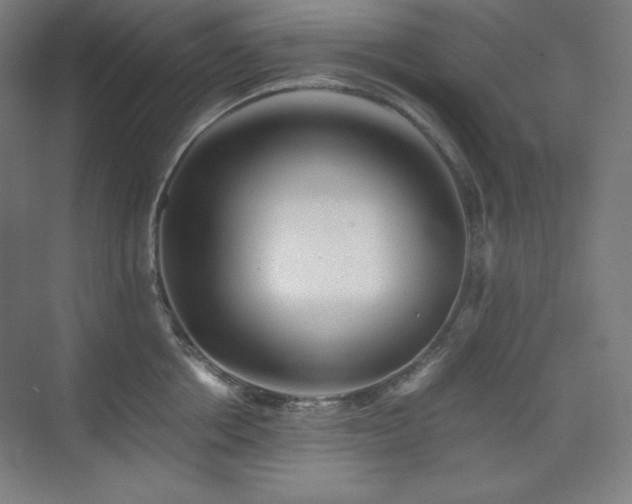 X0000075810858200609151145