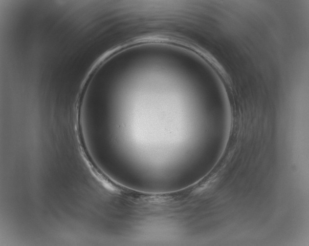 X0000075810862200609151145