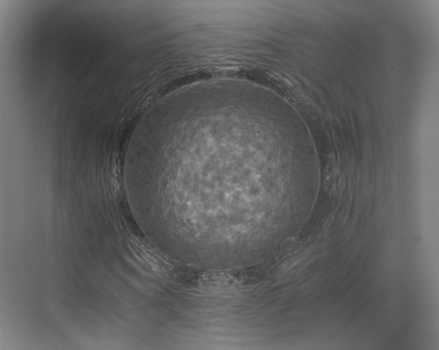 X0000075810866200609151144