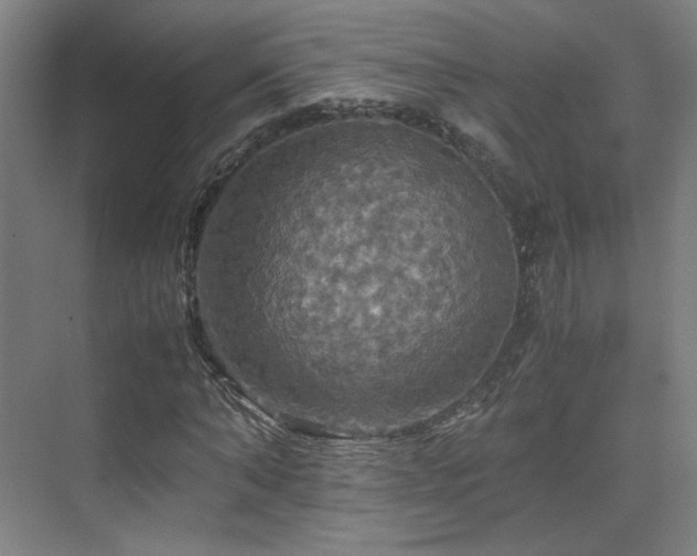 X0000075810870200609151144