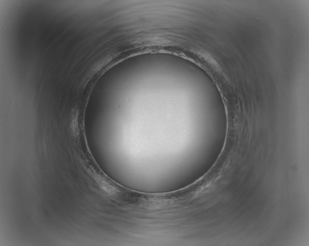 X0000075810873200609151144