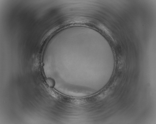 X0000075810874200609151144
