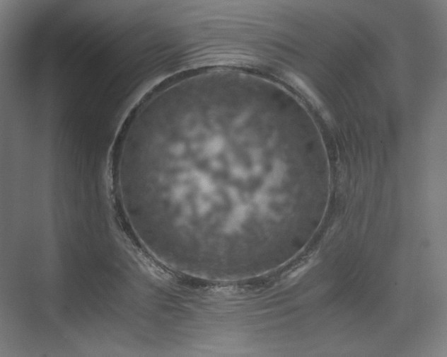 X0000075810883200609151144