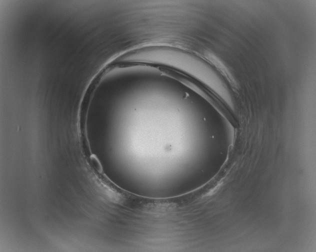 X0000075810884200609151144