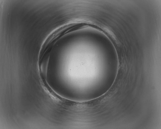 X0000075810888200609151144