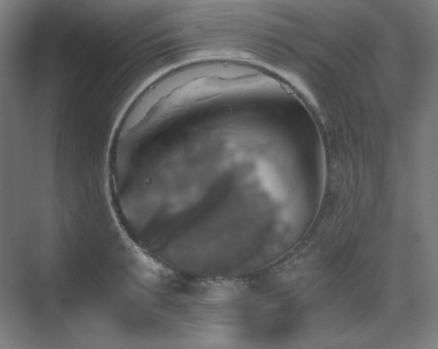 X0000075810895200609151143